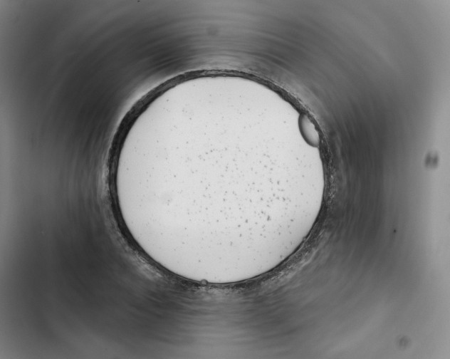 X0000102820928200809151012
