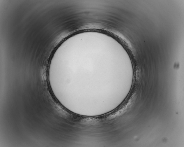X0000102820929200809151012