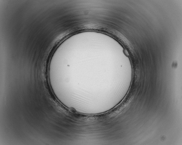X0000102820930200809151012