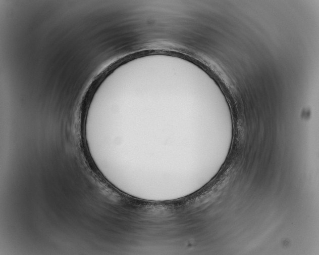 X0000102820931200809151012