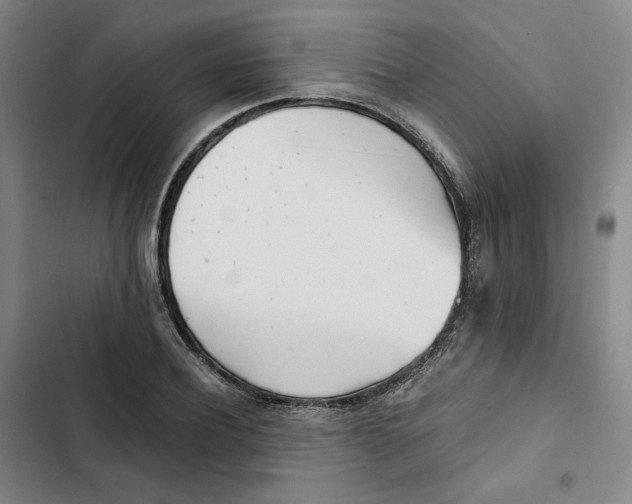 X0000102820932200809151012
