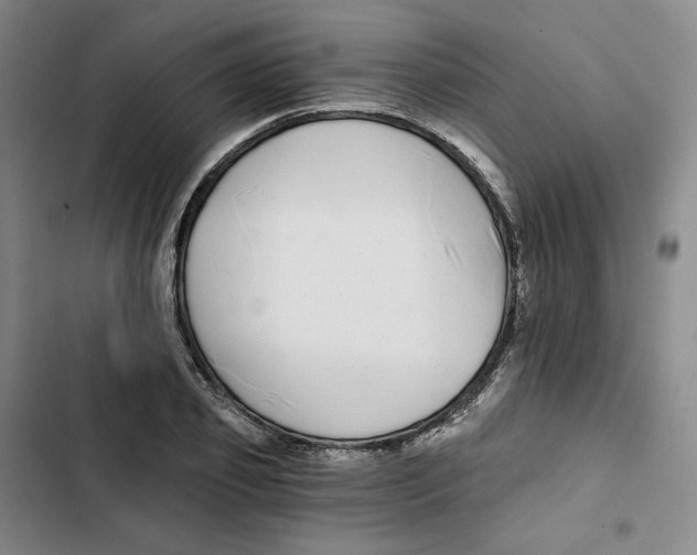 X0000102820933200809151012