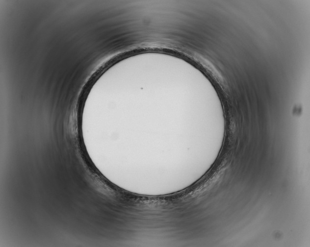 X0000102820934200809151012