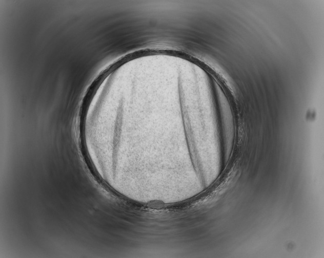 X0000102820935200809151012