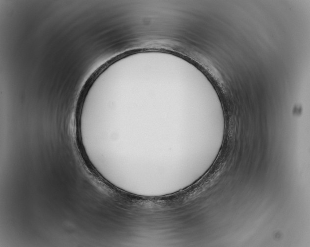 X0000102820936200809151012