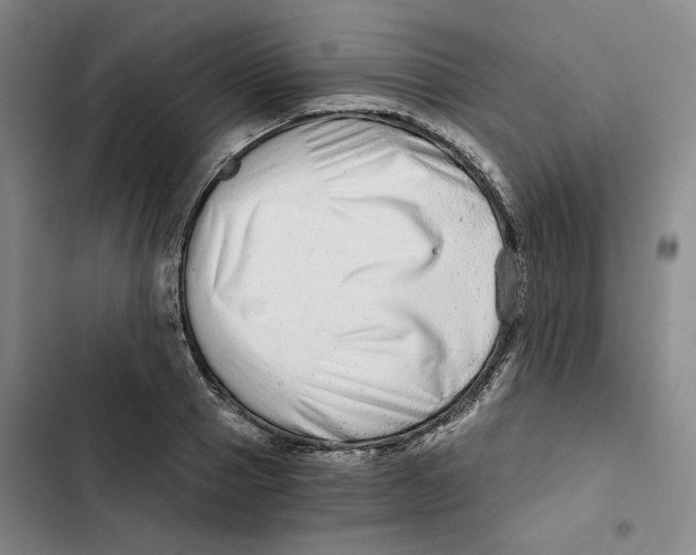 X0000102820937200809151012