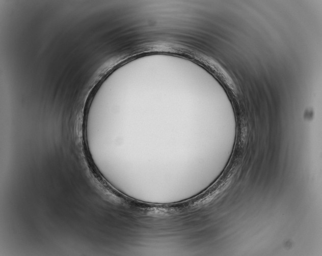 X0000102820938200809151012