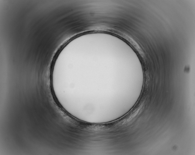 X0000102820939200809151012