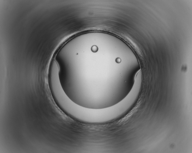 X0000102820940200809151012