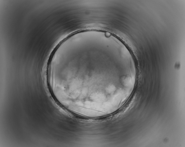 X0000102820941200809151012