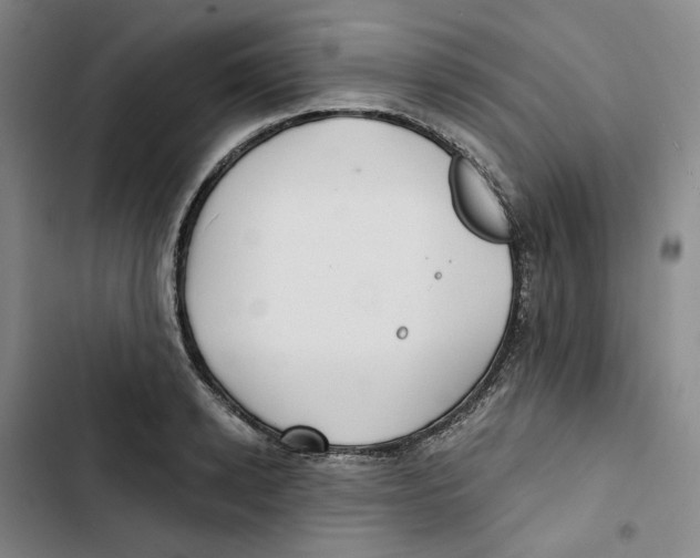X0000102820942200809151012