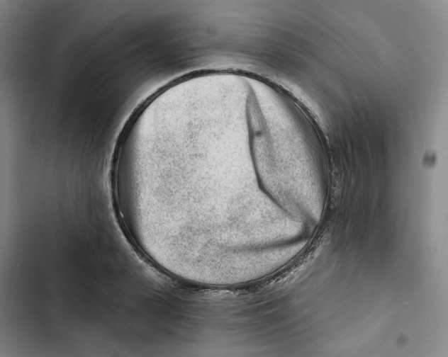 X0000102820943200809151012