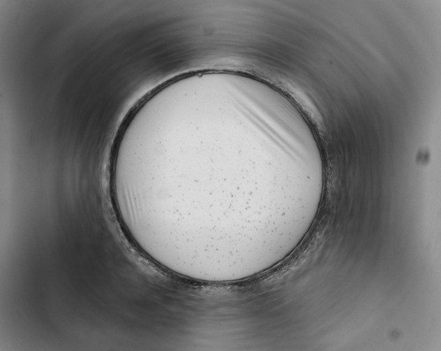 X0000102820944200809151012