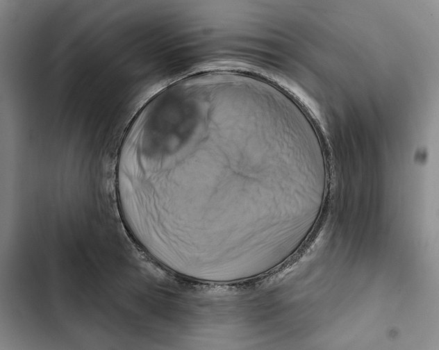 X0000102820945200809151012