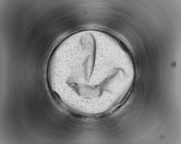 X0000102820946200809151012