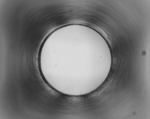 X0000102820947200809151012