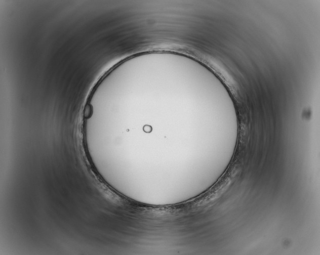 X0000102820948200809151012