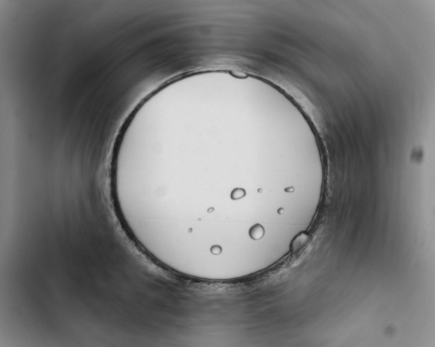 X0000102820949200809151012