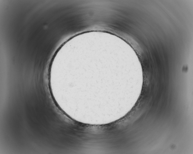 X0000102820950200809151012