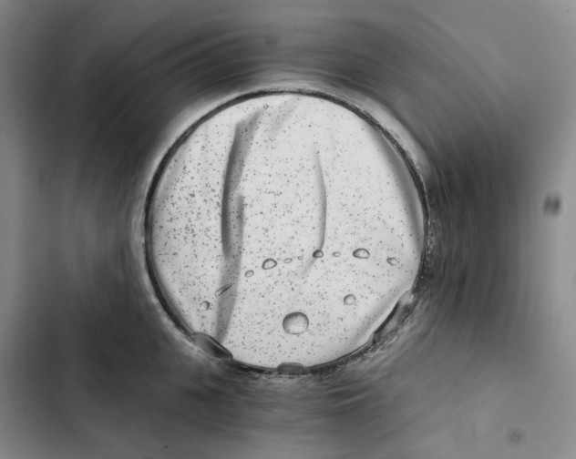 X0000102820951200809151012