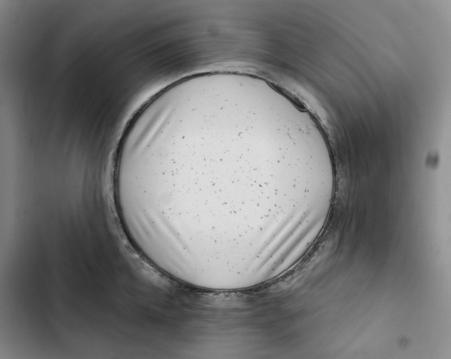 X0000102820952200809151012