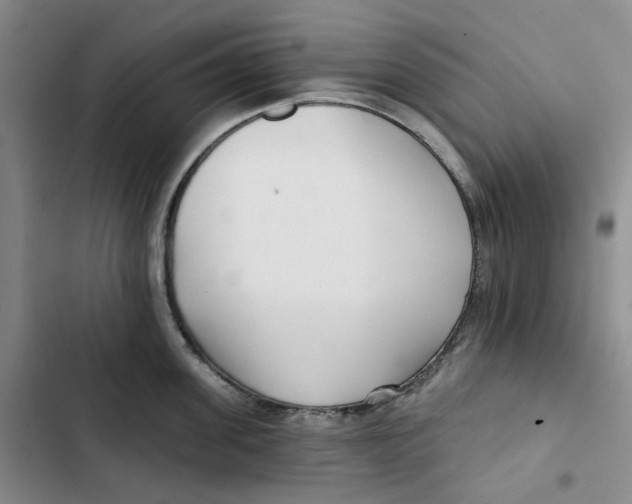 X0000102820955200809151012