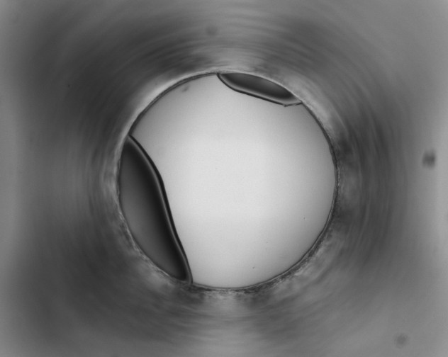 X0000102820956200809151012