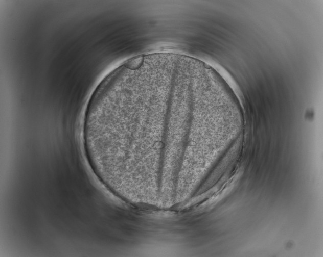 X0000102820957200809151012