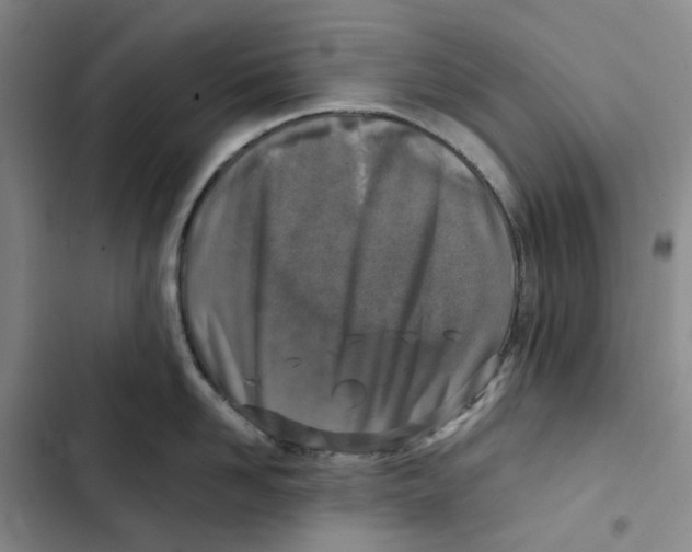 X0000102820958200809151012