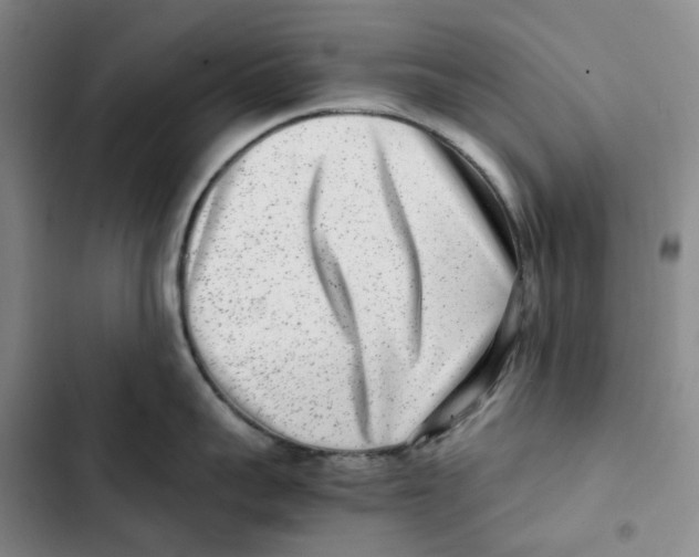 X0000102820959200809151012