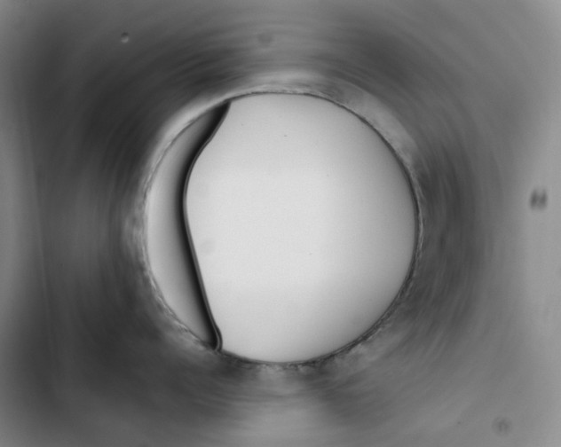 X0000102820960200809151012