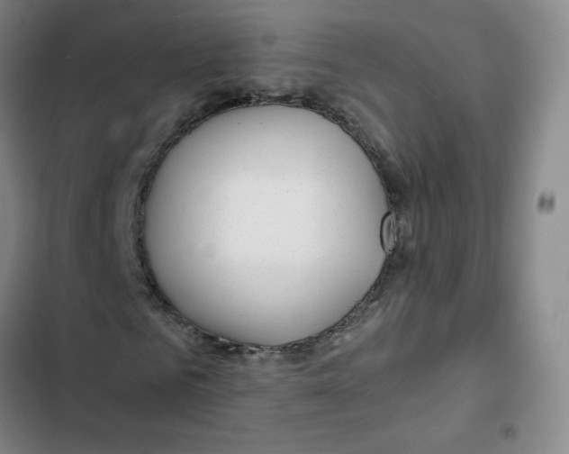 X0000102820961200809151012