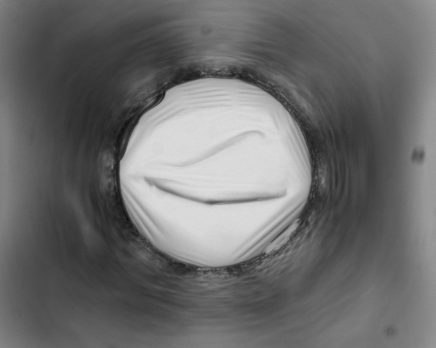X0000102820964200809151012