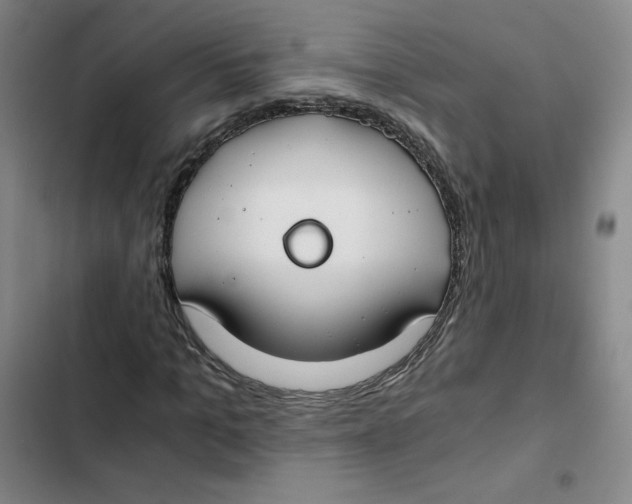 X0000102820965200809151012