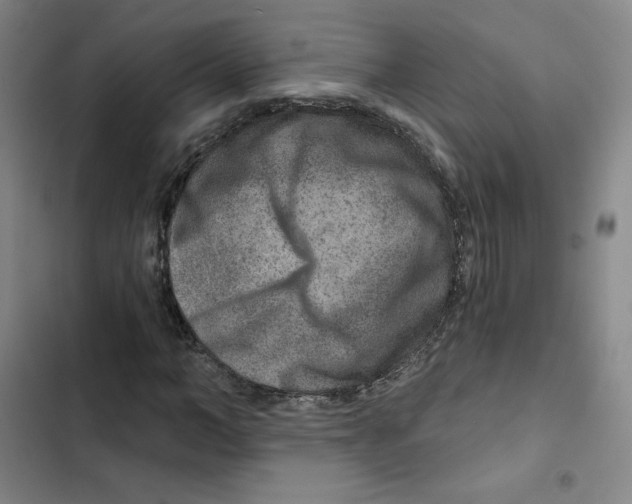 X0000102820966200809151012