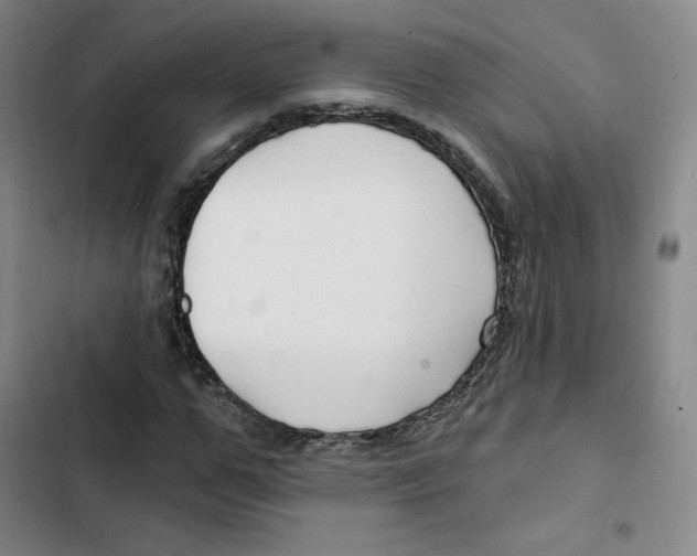 X0000102820967200809151012
