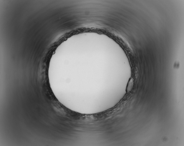 X0000102820968200809151012