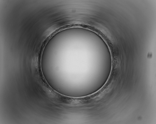 X0000102820969200809151012