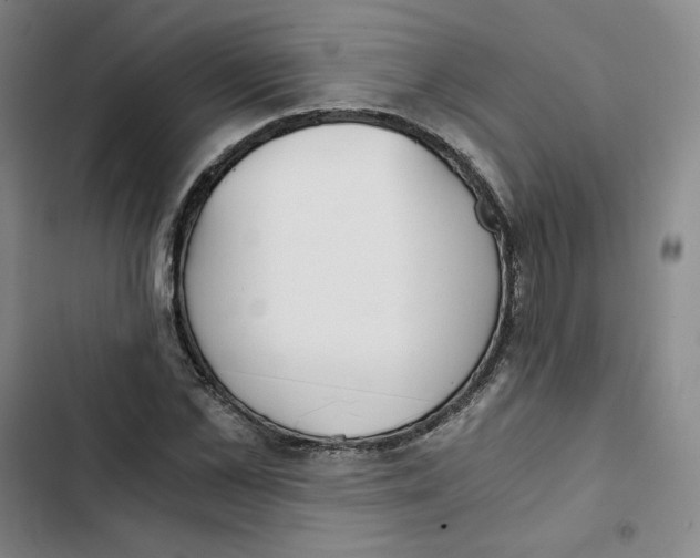 X0000102820973200809151011