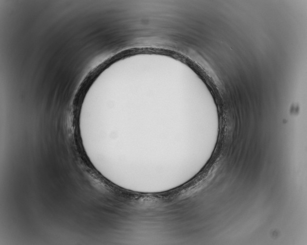 X0000102820974200809151011