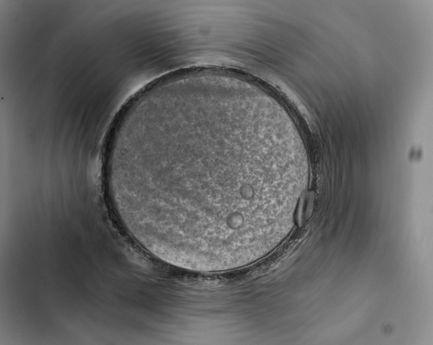 X0000102820975200809151011