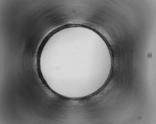 X0000102820976200809151011