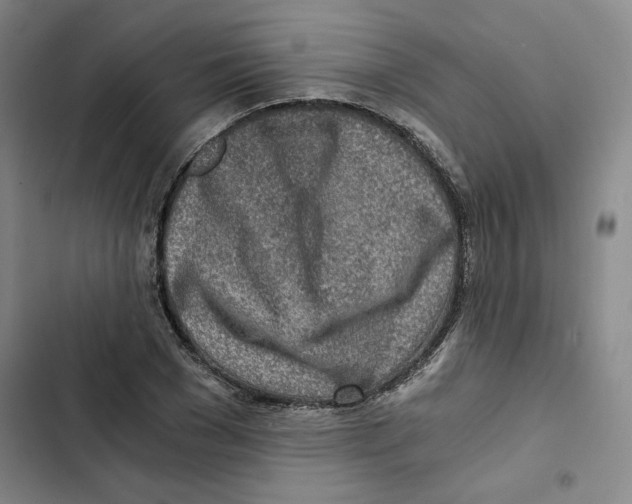 X0000102820977200809151011