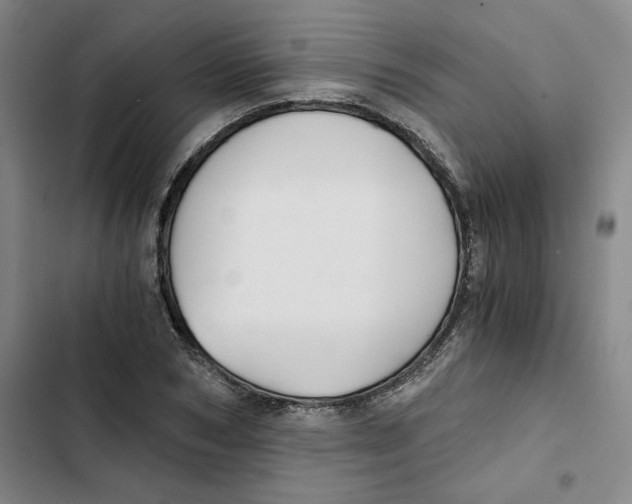 X0000102820978200809151011