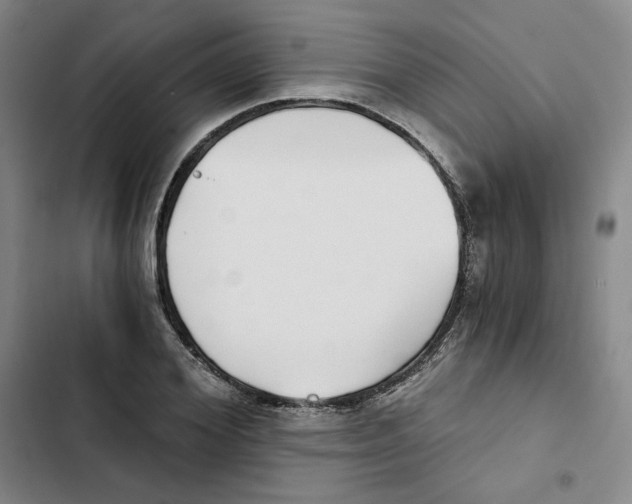 X0000102820980200809151011