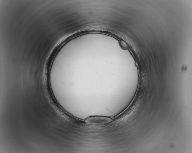 X0000102820981200809151011