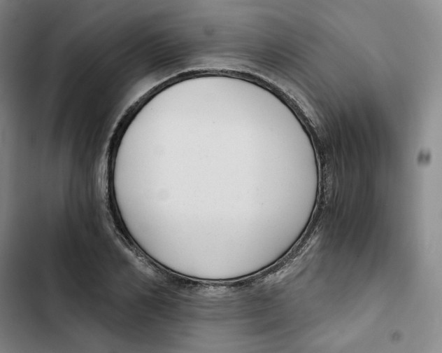 X0000102820982200809151011