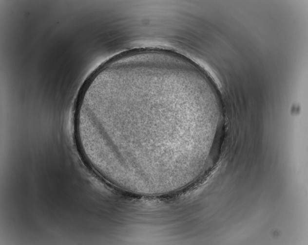 X0000102820983200809151011