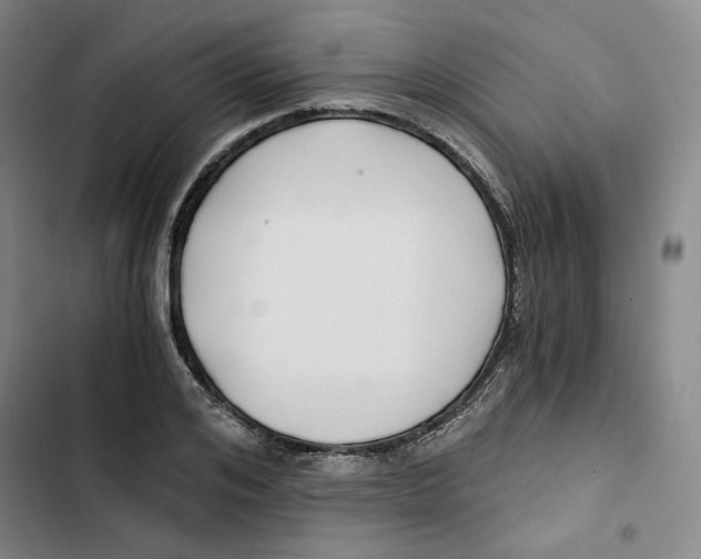 X0000102820984200809151011