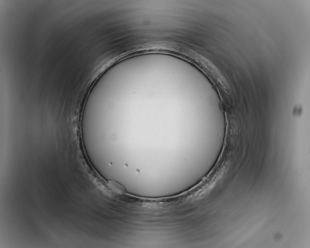 X0000102820985200809151011